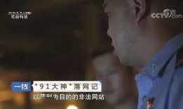 91大神庭审直播,全程回顾与深度解析